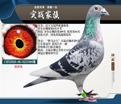 扬·雅诺维克偏挪威新主帅备战德国期待荣耀欧预赛
