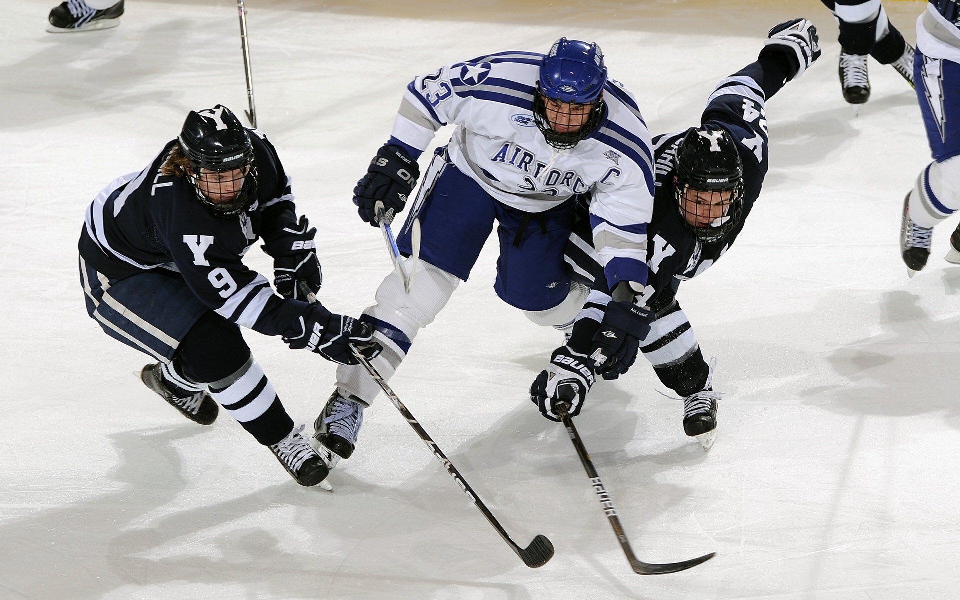 熊猫直播APP-熄火！黄蜂末节奇袭北岸花园，班凯罗惊世骇俗数据一战封神